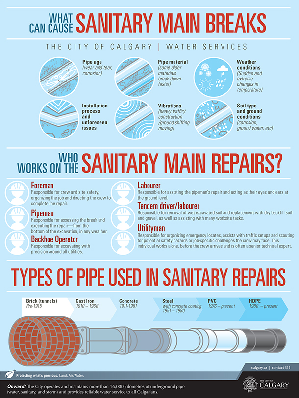 Sanitary Repairs Infographic