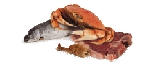 Meat Fish Shellfish and Bones