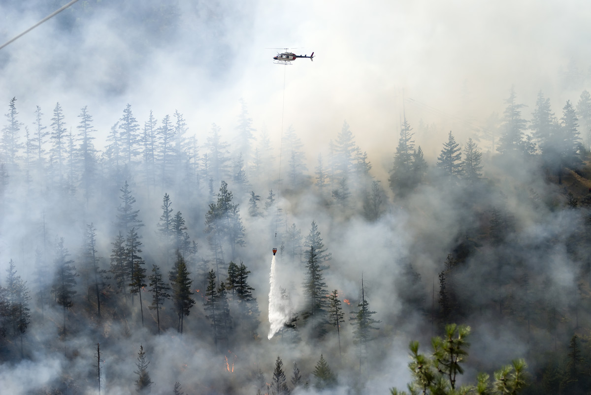 Helicopter releasing water over a forest wildfire