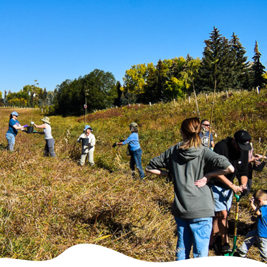 people holding bags of plant seeds