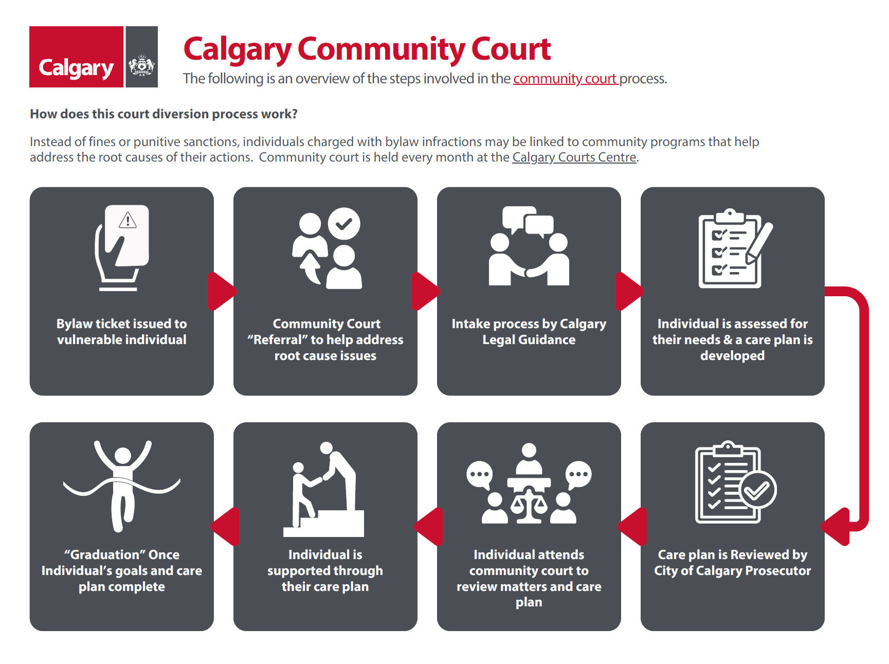 Community courts process infographic