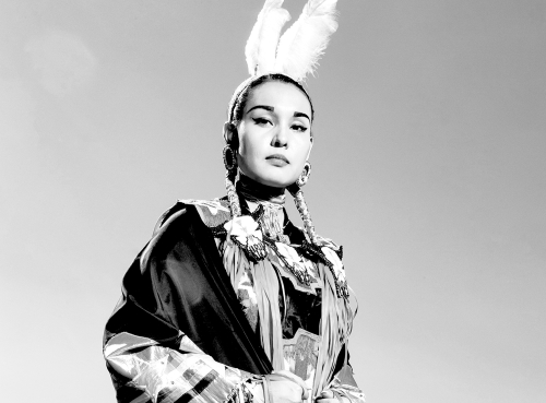 Indigenous influences design