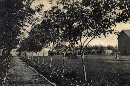 Canadian Pacific Railway pathway postcard