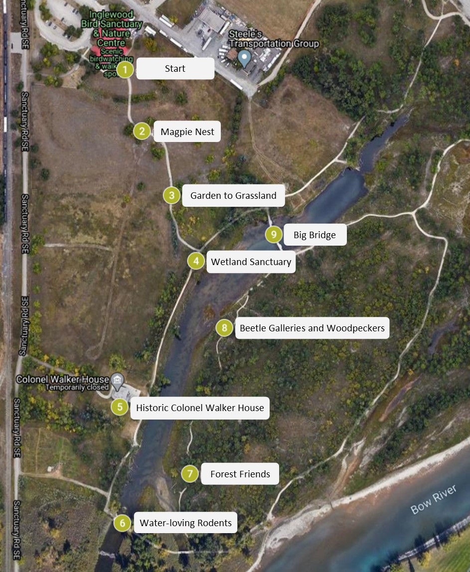 Follow the tour on Google maps