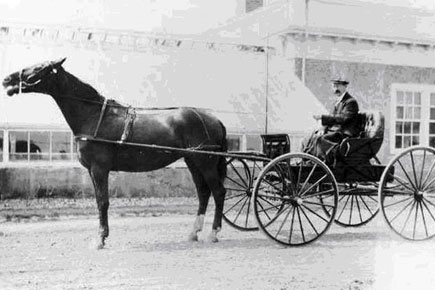 horse carriage
