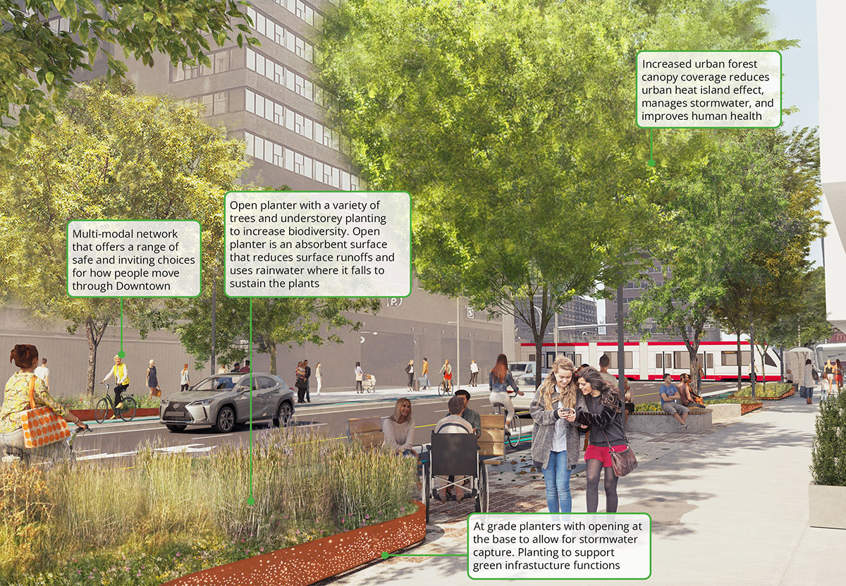 Building a green network