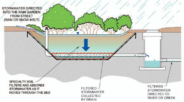 Rain garden