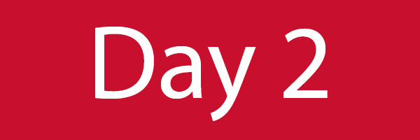 Day 2