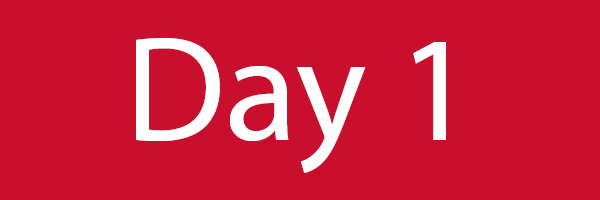 Day 1