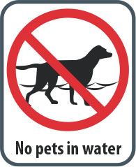 No pets in the storm pond - graphic